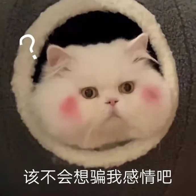 球球表情包