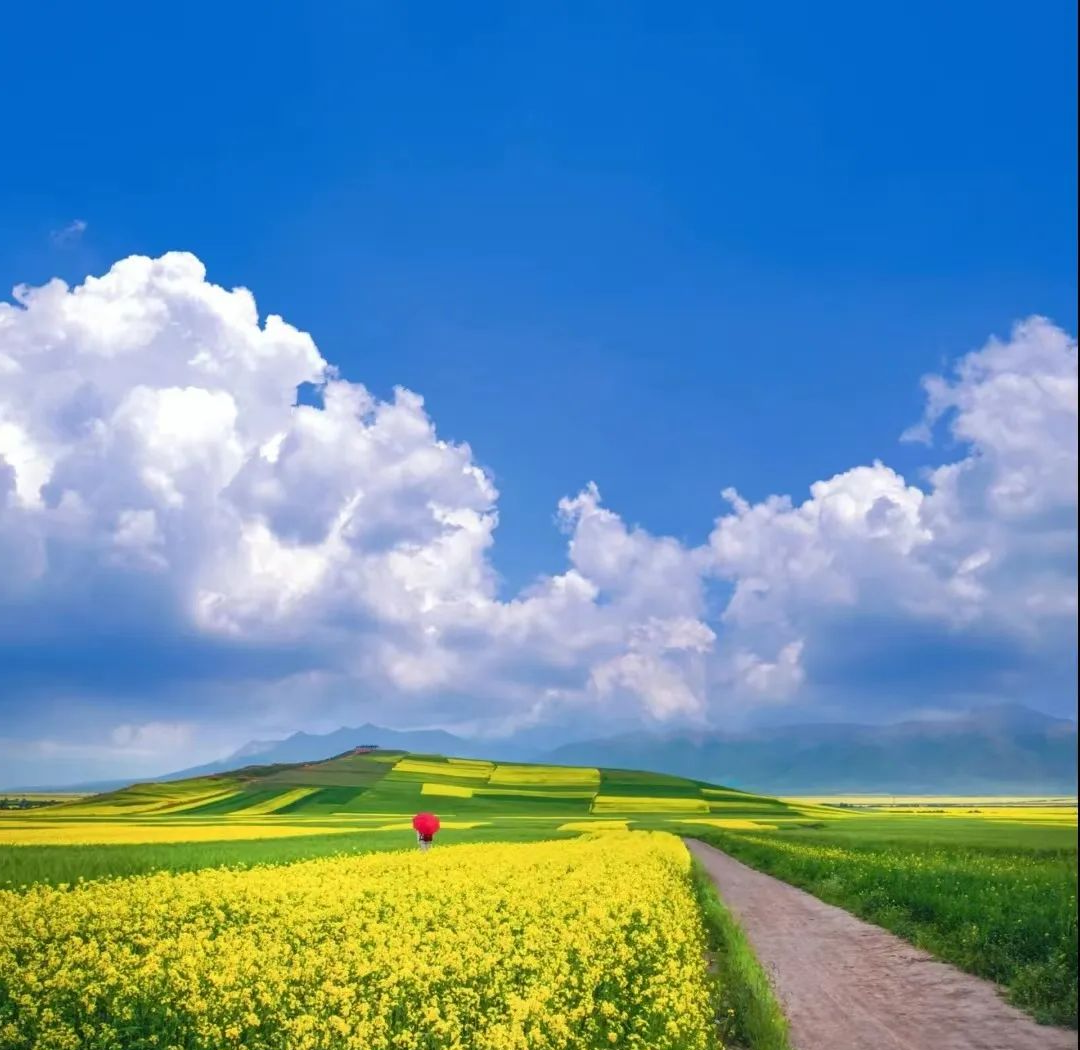 微信头像:2024年自然清新的农村田园风景,感受宁静淡然的氛围