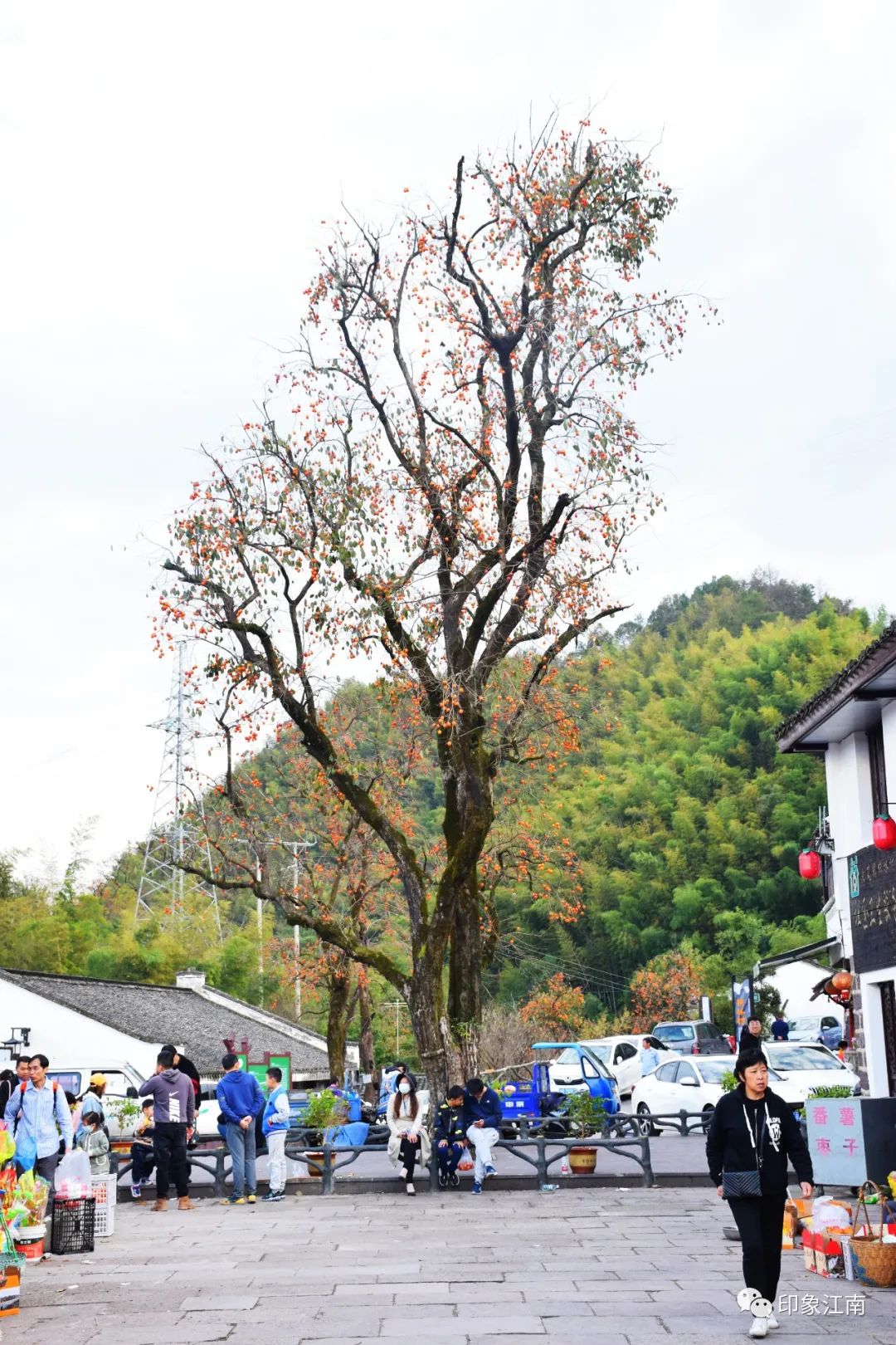 中國傳統村落丨柿林村,至今已有六百多年的歷史,是一座古色古香的浙