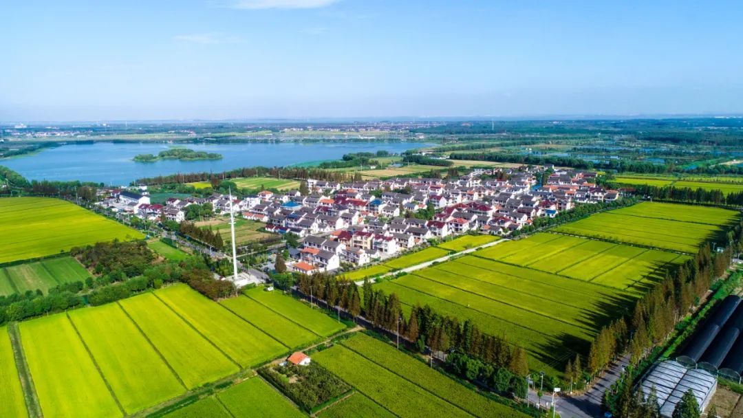 青浦:做实"三大整治"常态长效,擘画温暖家园"生态画卷"