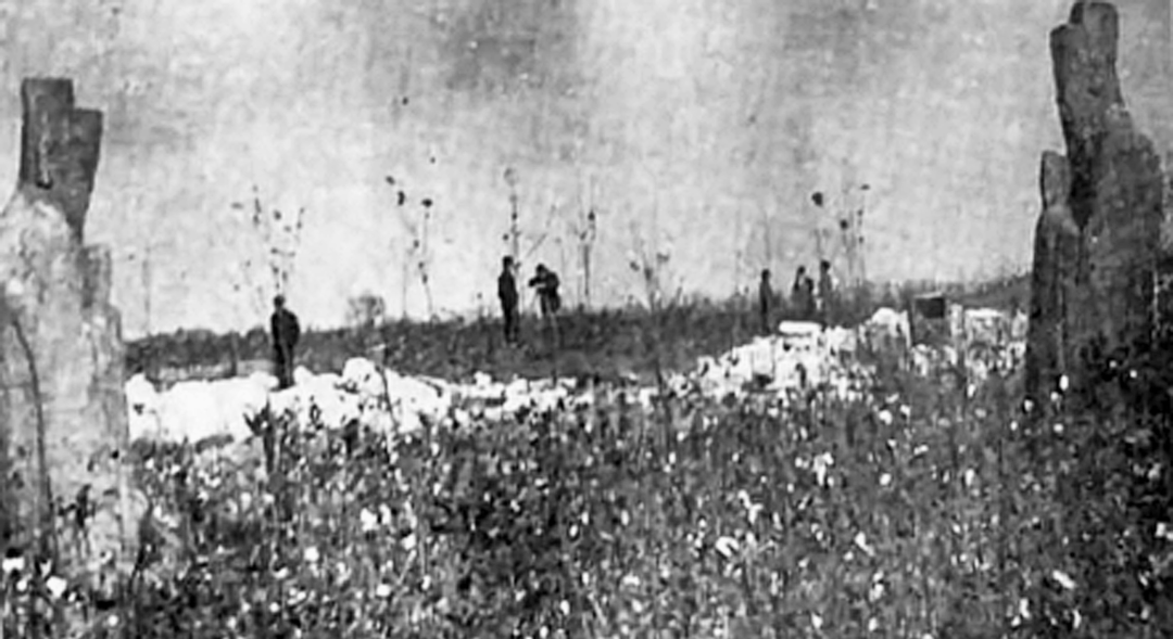 朱行为什么叫"朱行",或许与莘庄这个世家有关丨闵行情