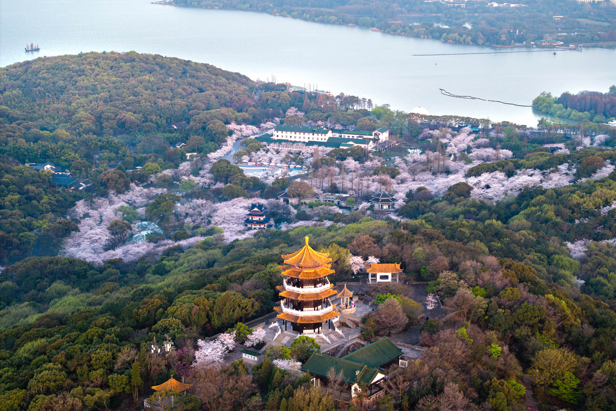 2021春节无锡免费景点图片