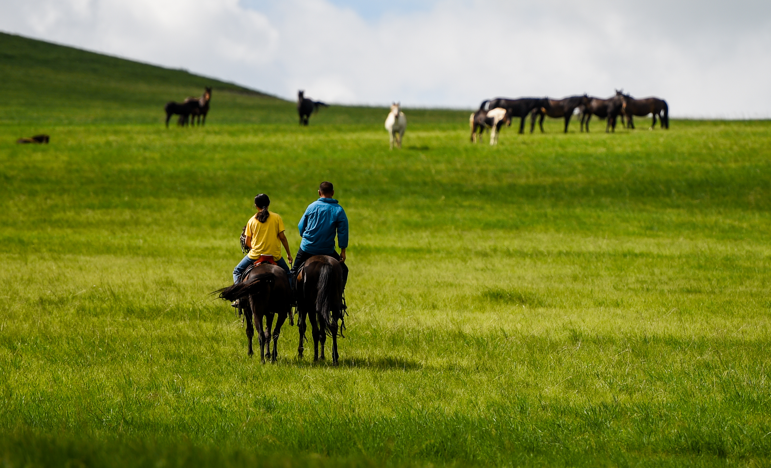 策马奔腾,尽享欢乐——回到草原过暑假