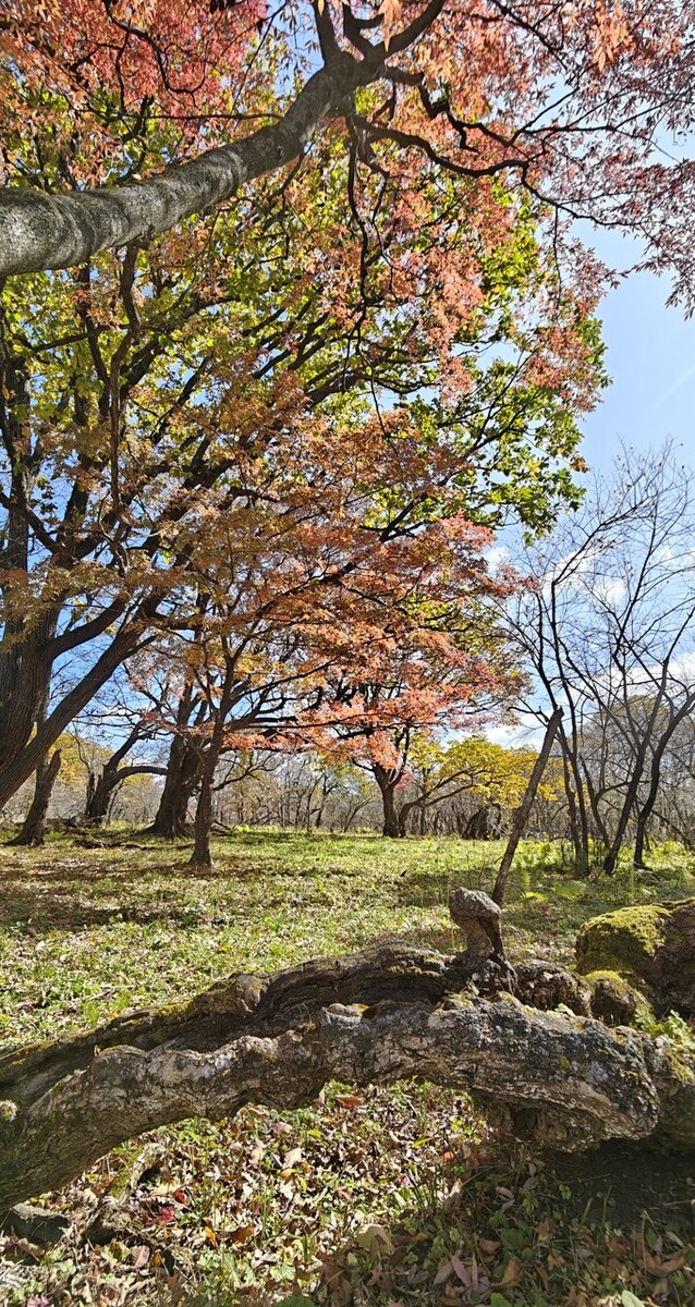 辉南旅游景点大全图片