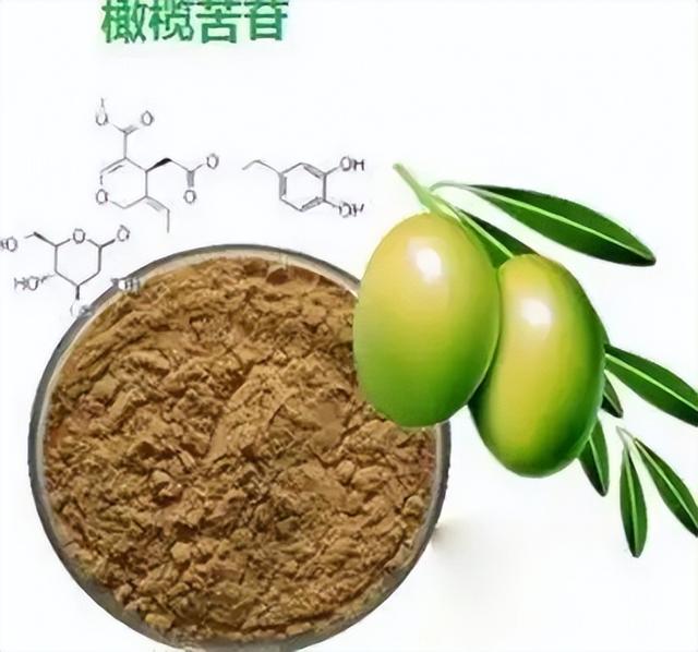 橄榄叶里的"线粒体开锁匠":这颗天然多酚,把抗衰事儿搞明白了
