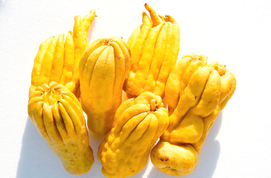 佛手:中药珍品的多重健康作用