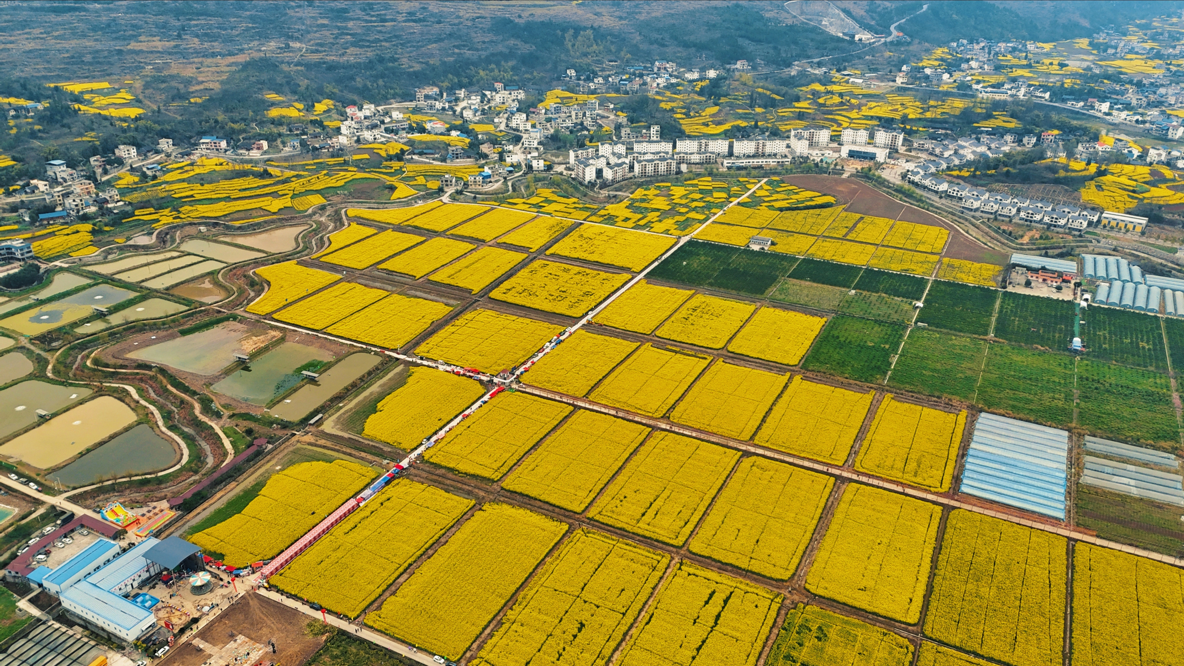 「多彩贵州 花漾中国」思南塘头:阳春三月游花海 乡村旅游旺起来