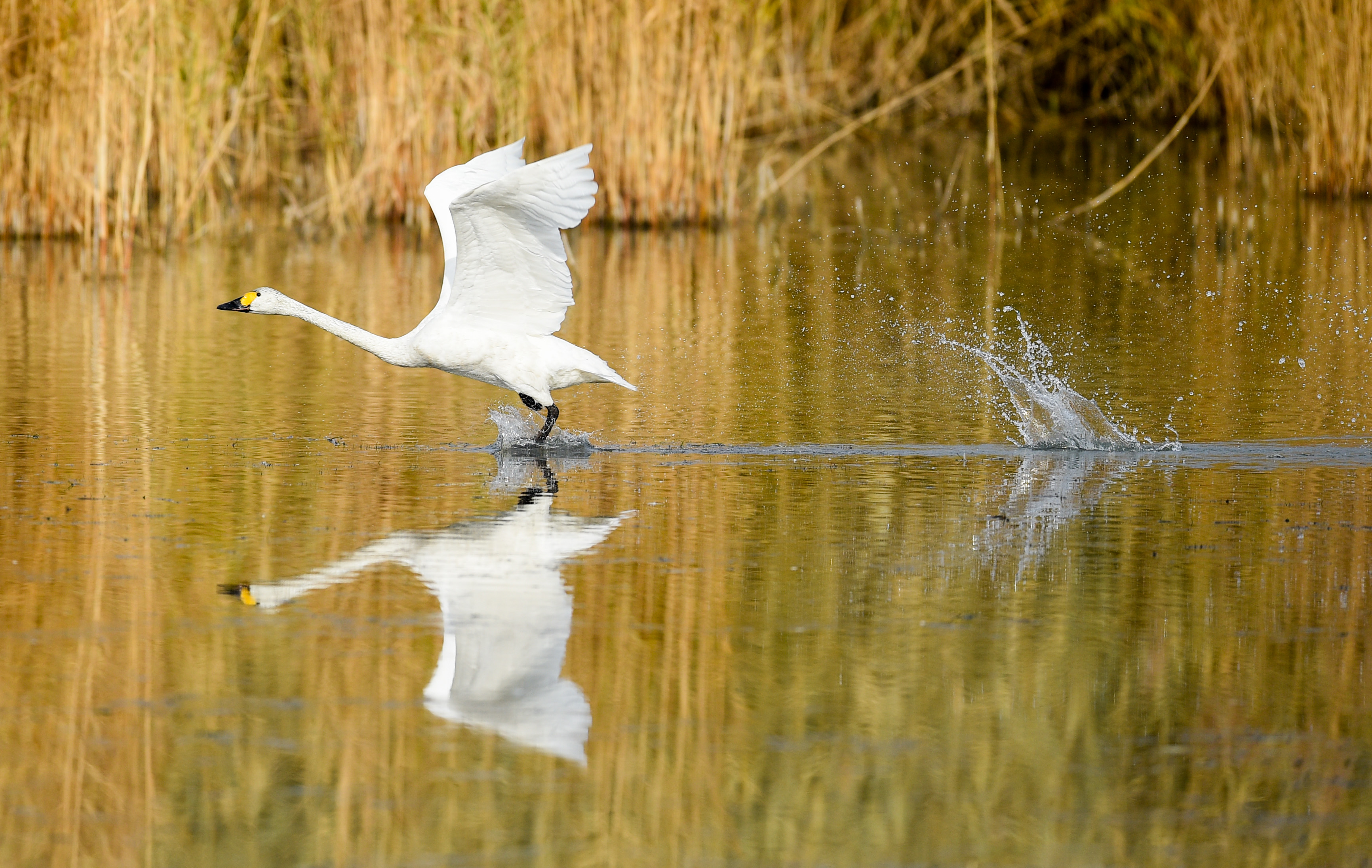 镜观中国|新华社国内新闻照片一周精选