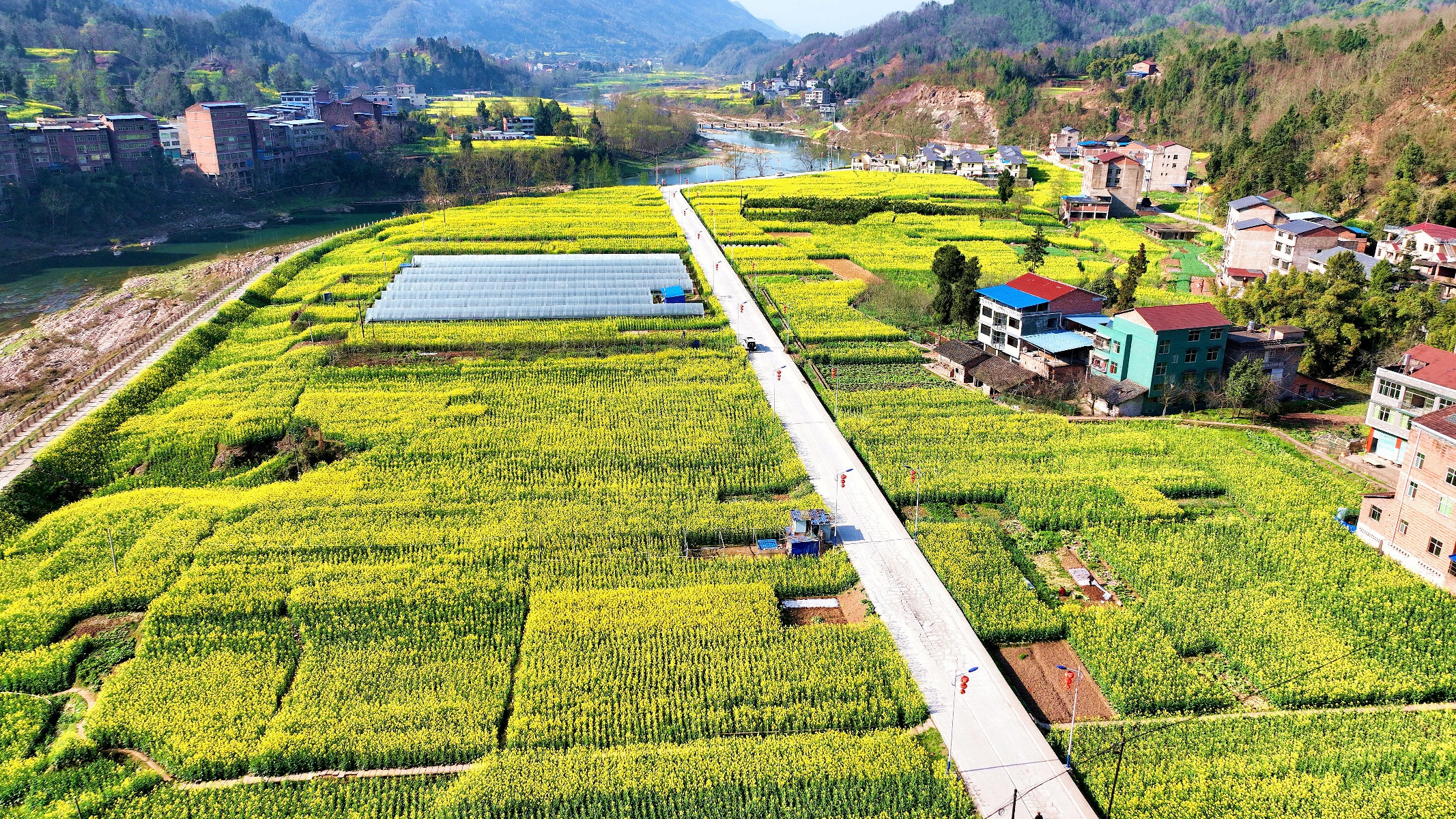 春染大地乡村美