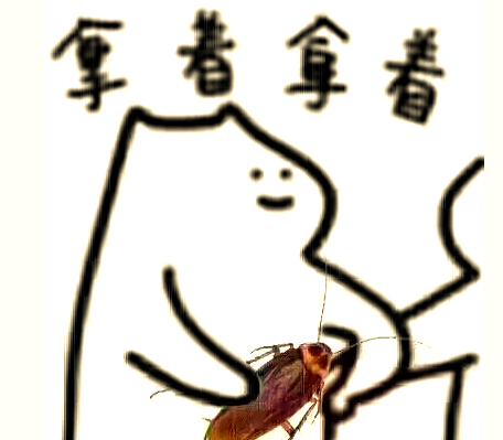 广东蟑螂为何成为网络热门话题?