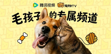 腾讯视频宠物TV上线：专给猫、狗看 缓解孤独拆家