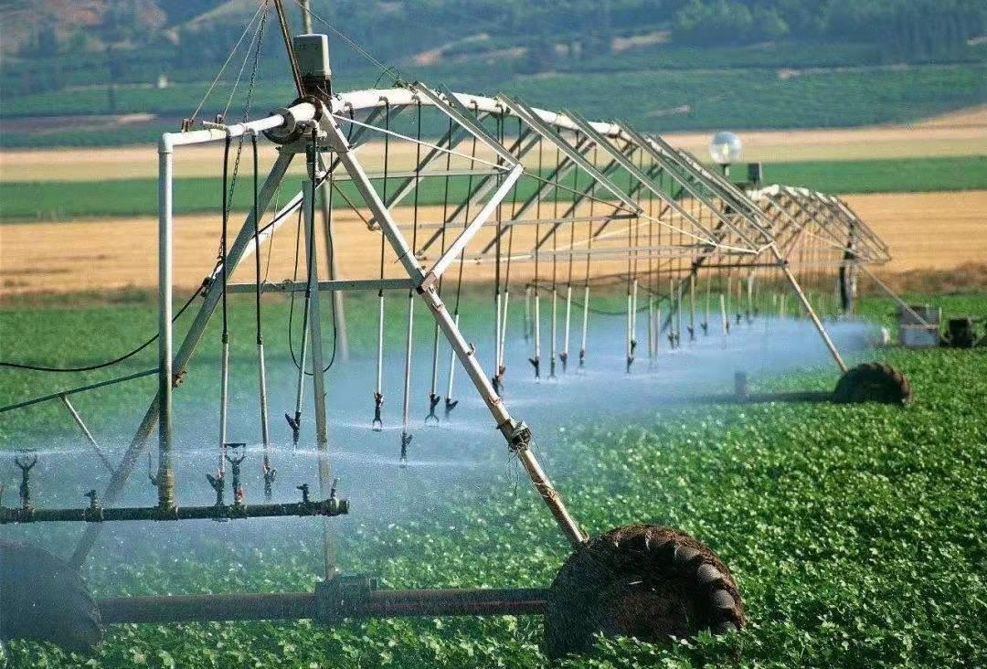 何以以色列农业如此出色?在资本主义环境下,却实现了"共产主义"