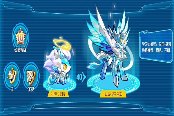 圣域白泽技能搭配