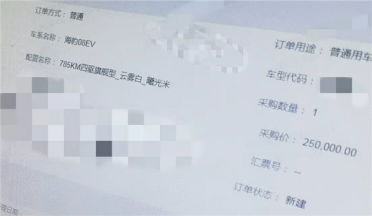 综合续航破千！比亚迪海豹08将于7月初上市：预计售价25万起
