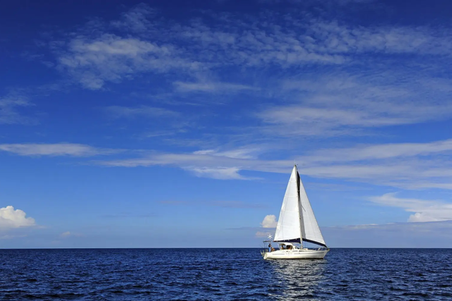 面对惊涛骇浪，企业在“出海”的船上，需寻找确定性的“锚”
