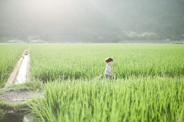 鱼和海教育:培养一个心理阳光的孩子,教育专家给了九个建议