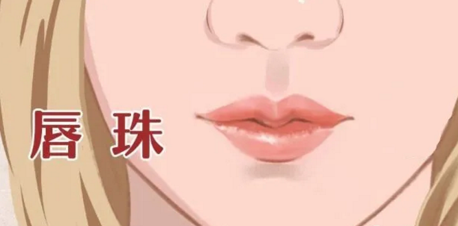 嘴带唇珠的人在运势上有什么样的特征