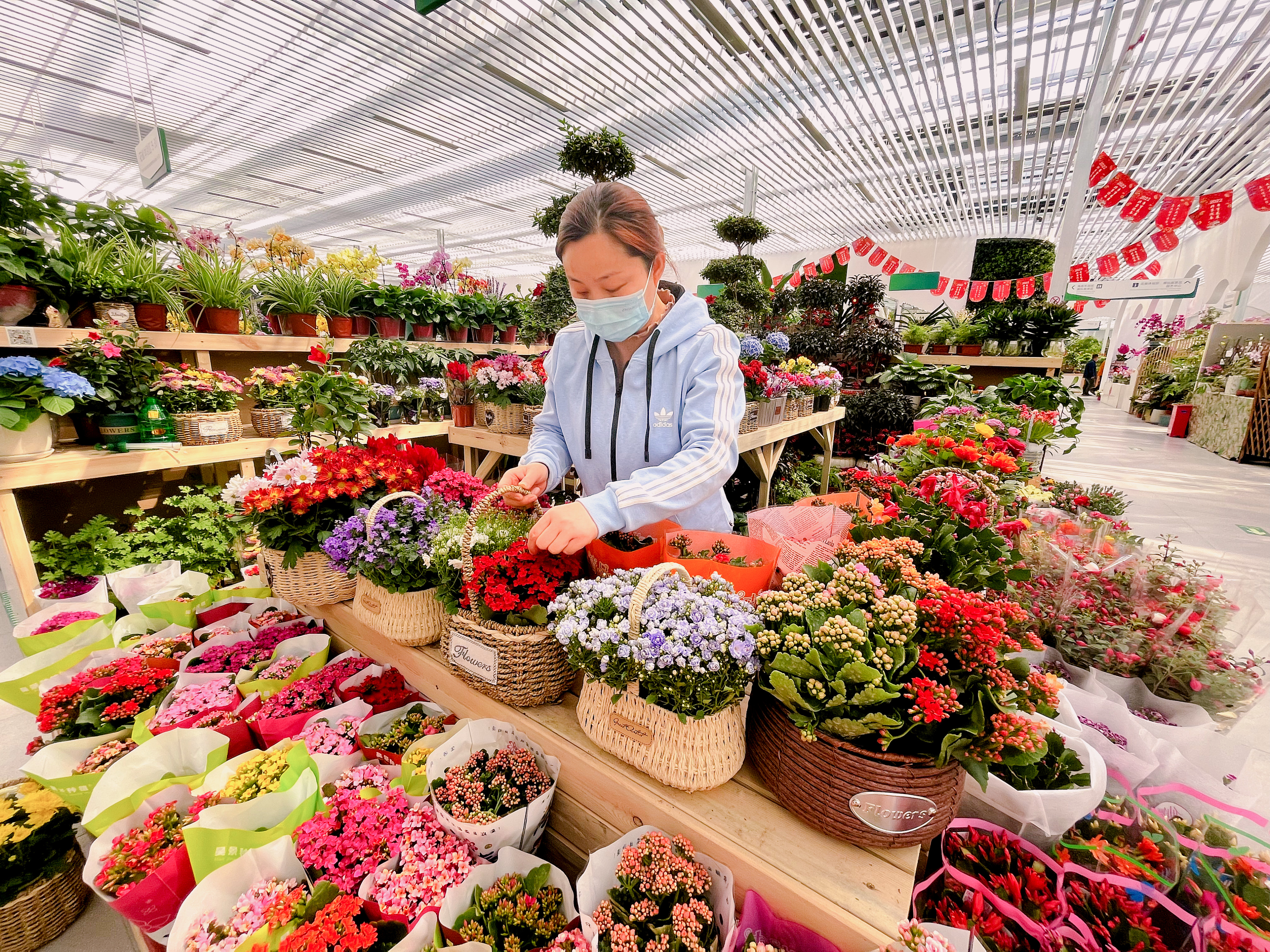 花乡花卉送春来 北京花卉交易中心线上线下购花忙