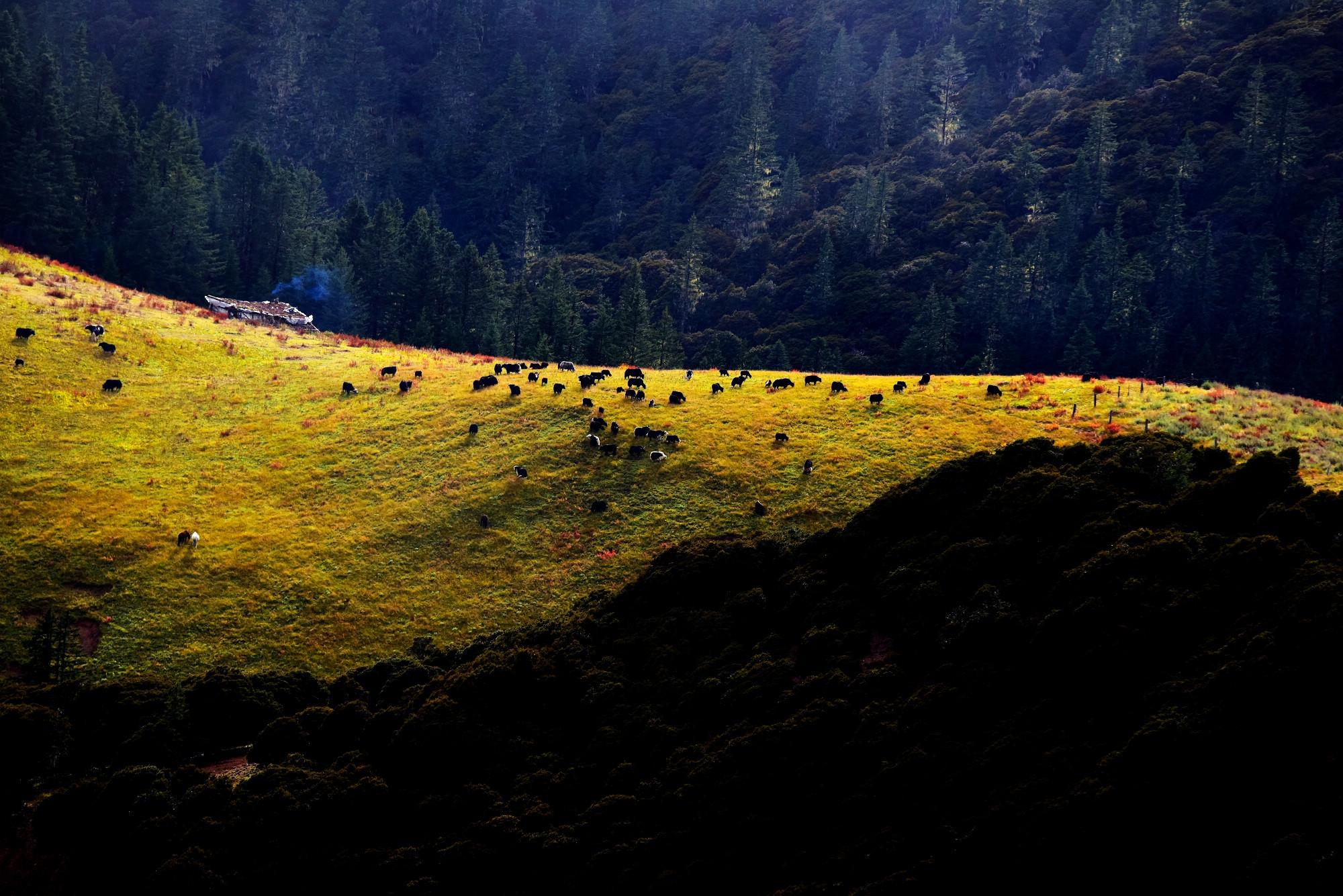 沙鲁里山,横断山的中央山脉
