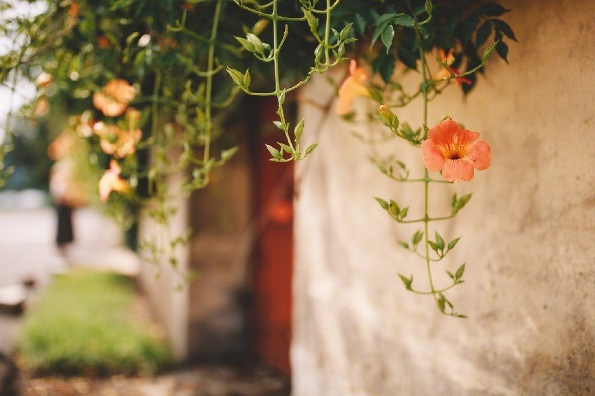 「日签|随笔」"徐子平"