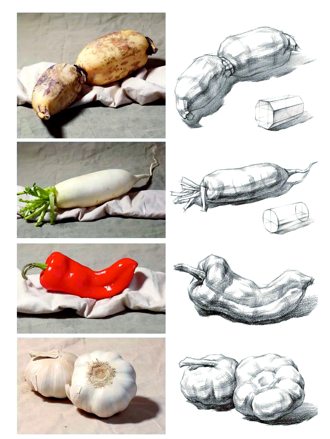 多种结构素描静物单体临摹练习