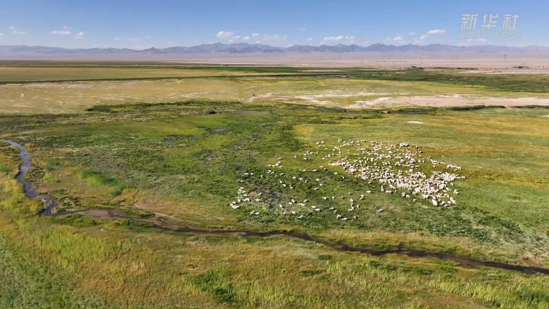 甘肃阿克塞:生机勃勃苏干湖