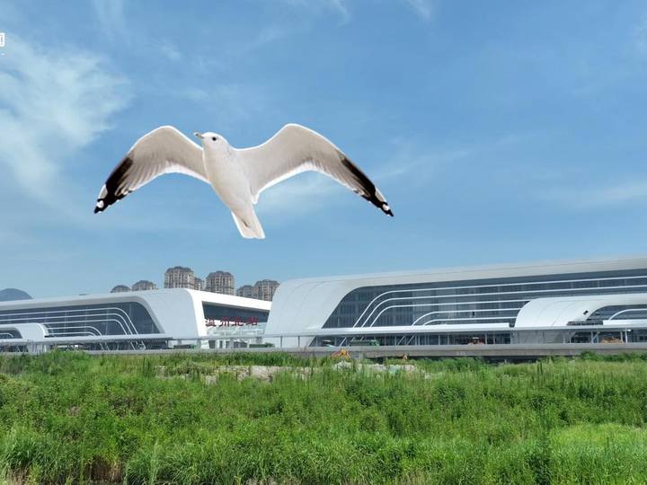 杭温高铁探营:进度完成95%,全新亮相的温州北站有啥不一样