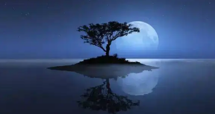 《千江有水千江月》的寓意