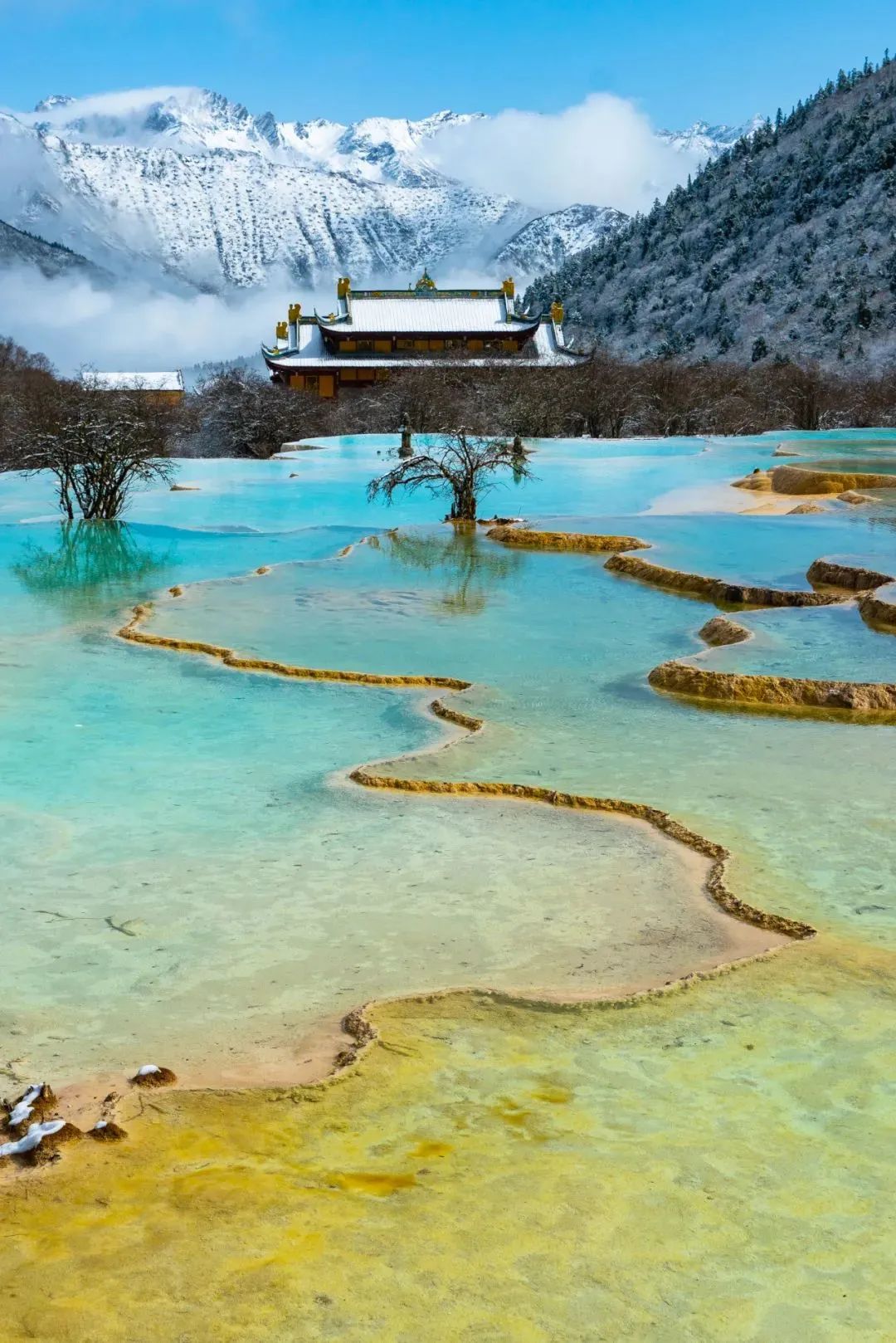 趣游四川|雪落黄龙,人间仙境