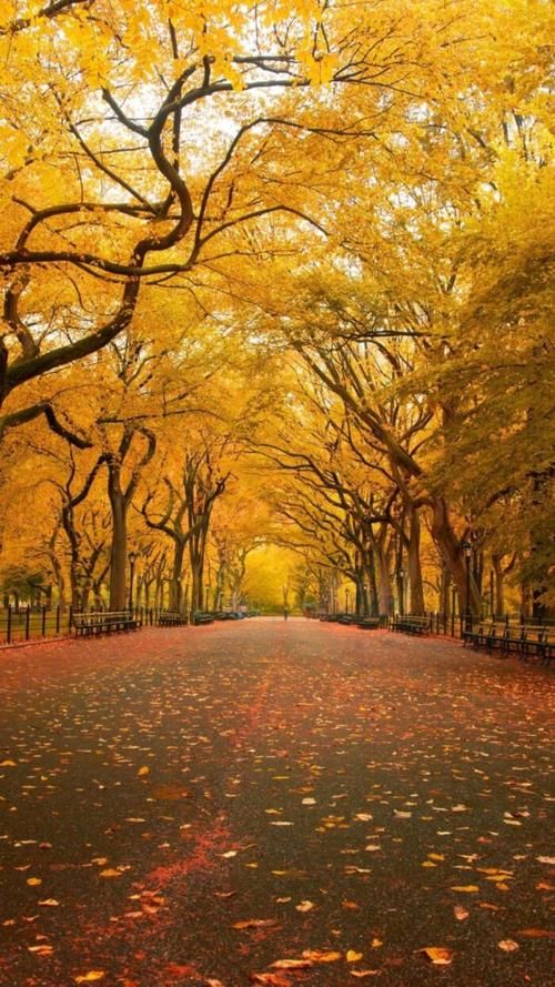 预防龟头炎的方法有哪些