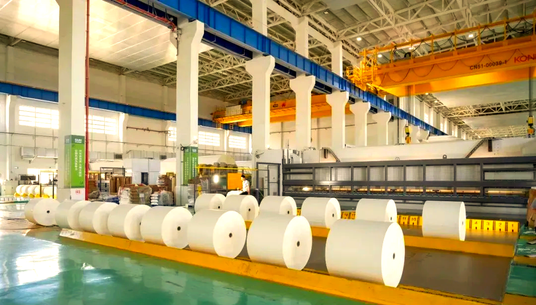 全球经济形势依然复杂严峻,但造纸行业在此背景下依然焕发出新的生机