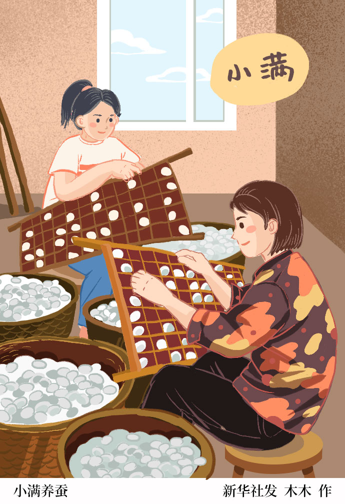 「二十四节气·小满」小满养蚕