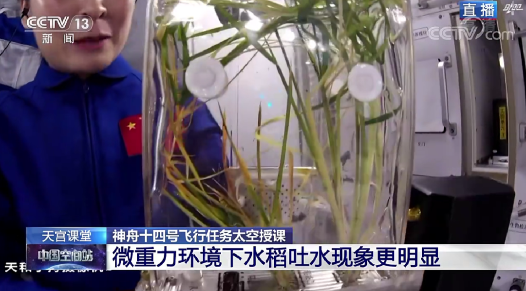 「侠客岛|岛妹说」天外来"课"的秘密