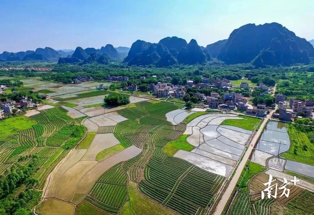 镇村风采阳春市陂面镇石尾村垦造水田的经验做法何以入选省典型案例