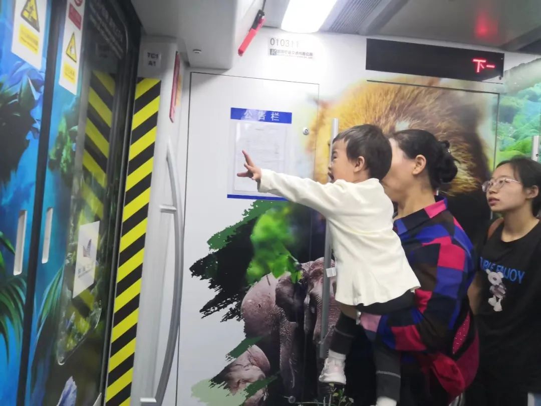 ���С��������ϡ��ŵ����г��������� ���ƶ����չݡ����������������Ƭ