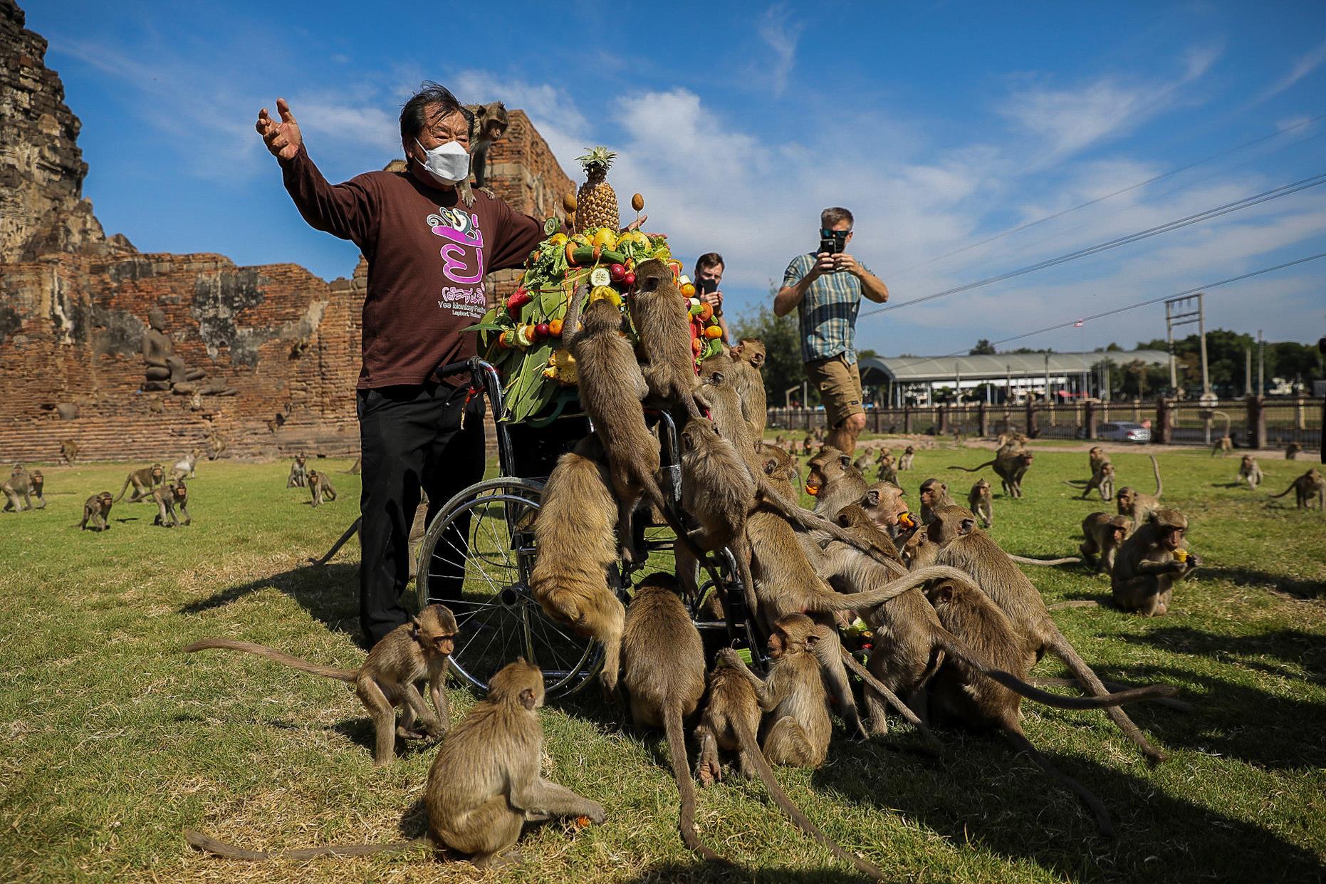 泰国华富里府举办第33届"猴子自助餐节"