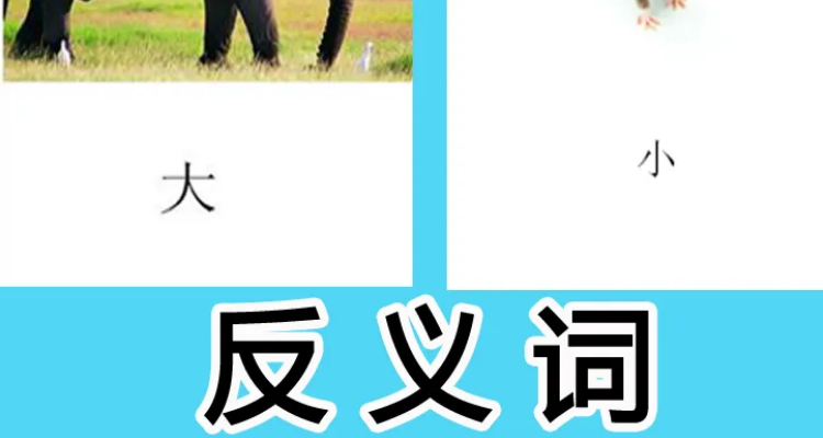 争先恐后含反义词