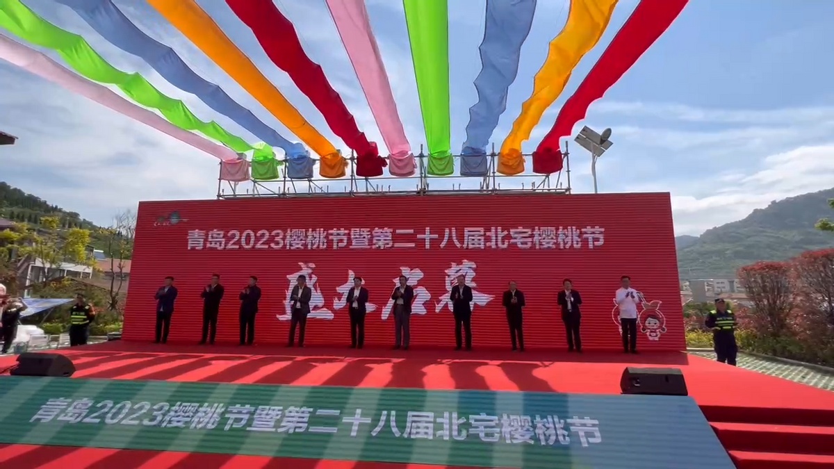 青岛2023樱桃节暨第二十八届北宅樱桃节5月6日开幕,将持续到6月2日