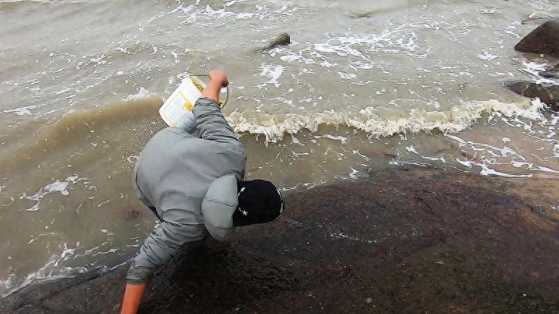 赶海大熊详细资料图片