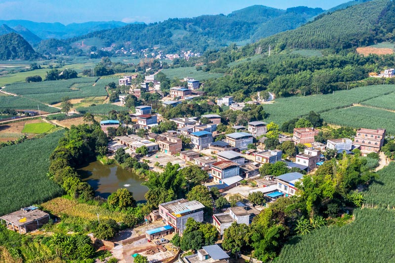 崇左市江州区委书记梁金昌:建立健全长效化帮扶机制 全面巩固脱贫攻坚