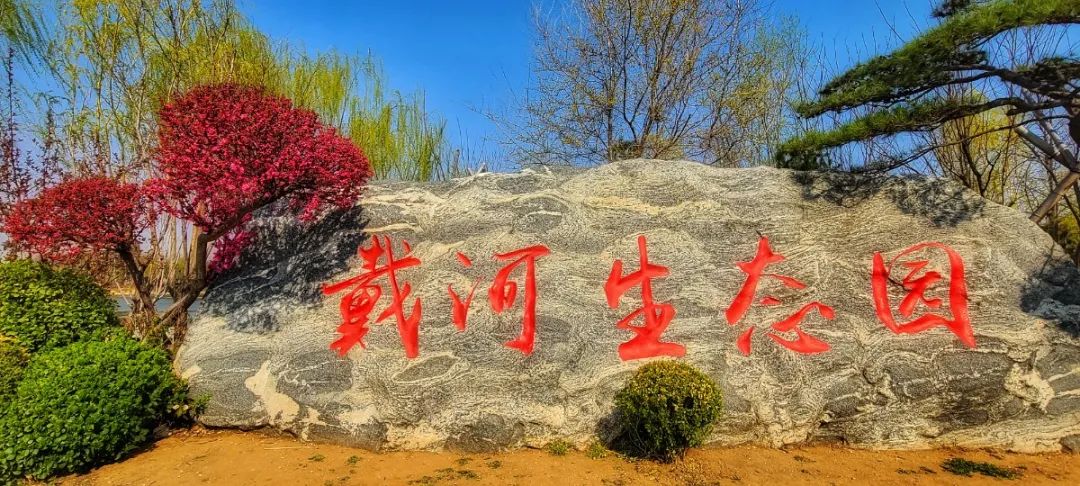 微信图片_20200507160612.jpg 图片