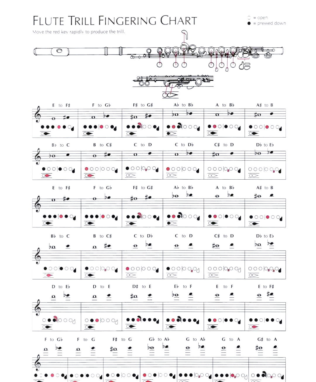 长笛演奏指南:全面掌握指法技巧与注意事项