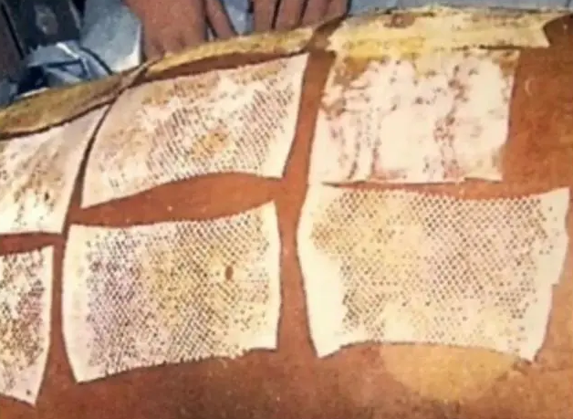 核电站事故的危害,核辐射是如何侵蚀人的身体,每一次都触目惊心