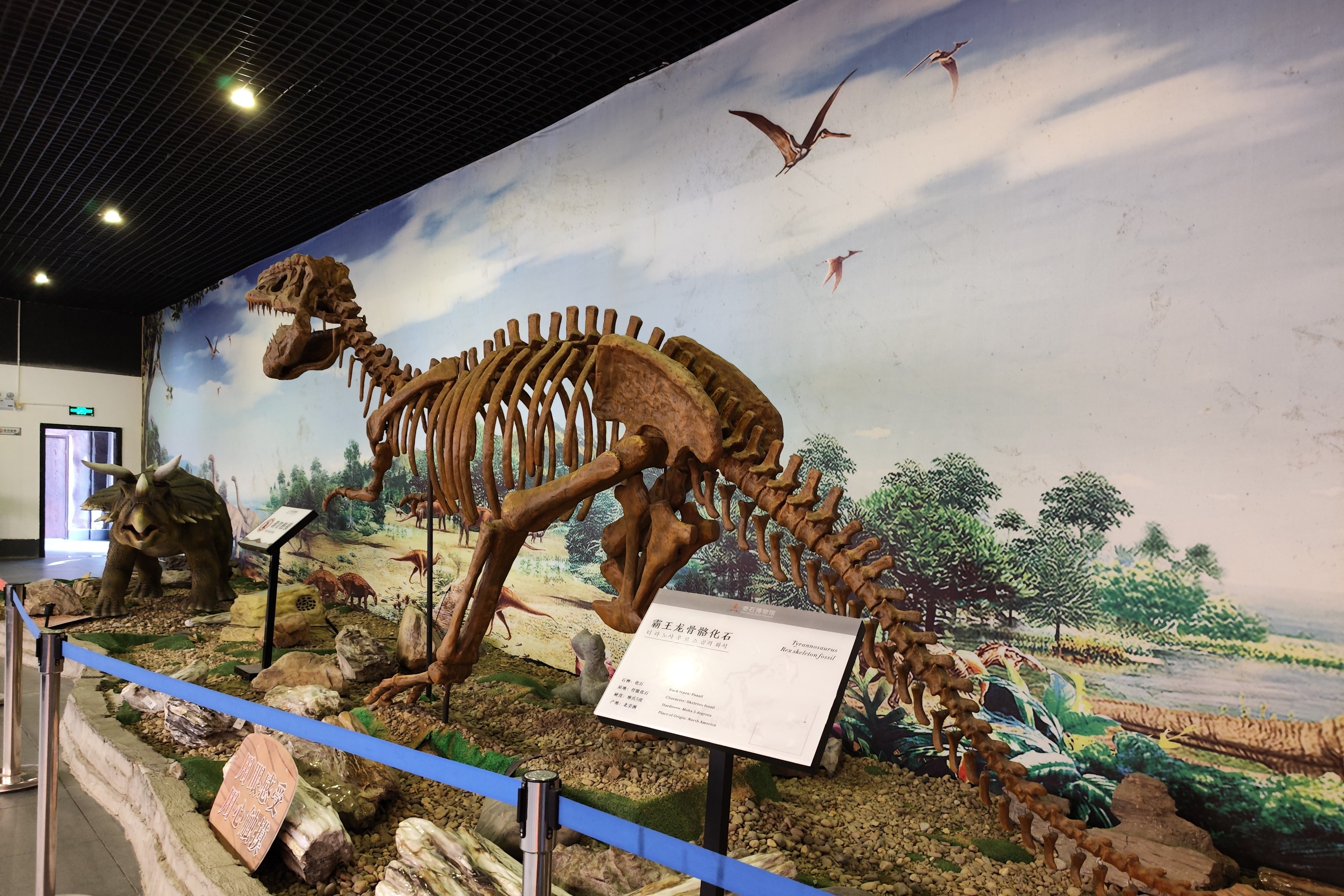 衡阳奇石博物馆,大自然真是太神了,怎能生得如此怪形