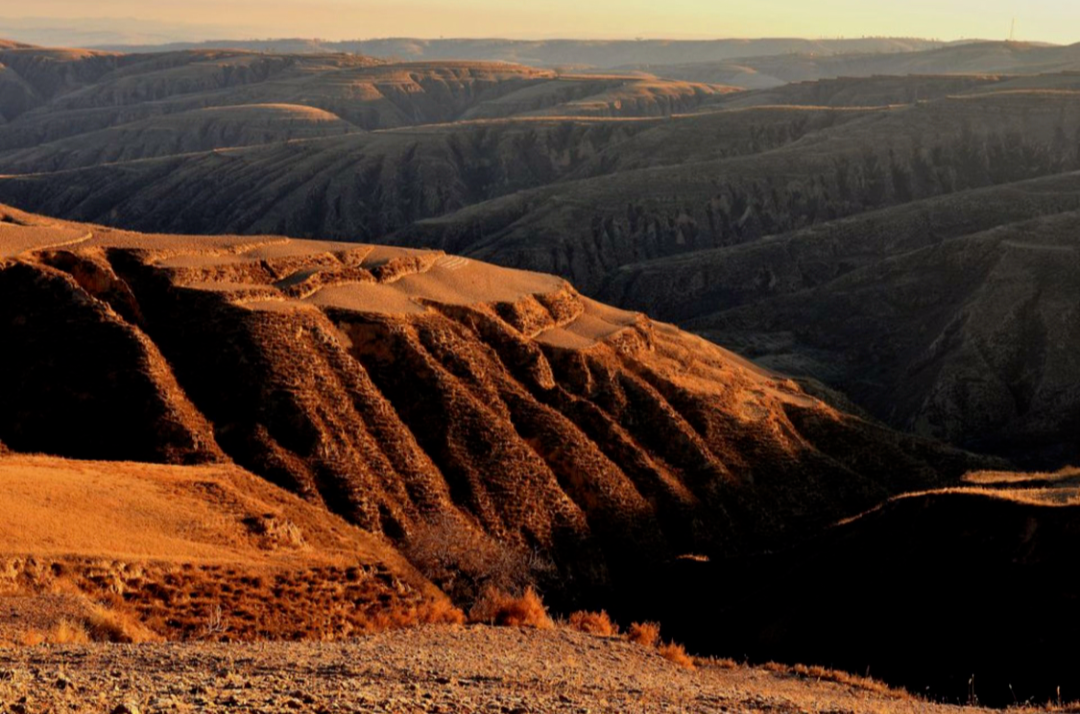 戊己土的基本区别