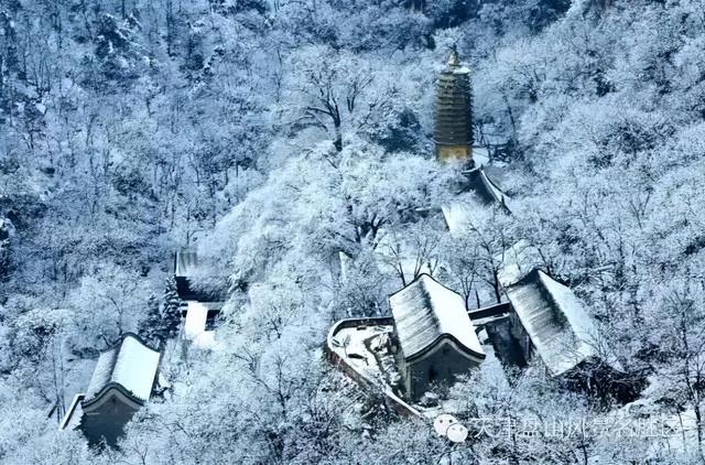 天津零下15度,雪都下在了市外,雪景分外浪漫