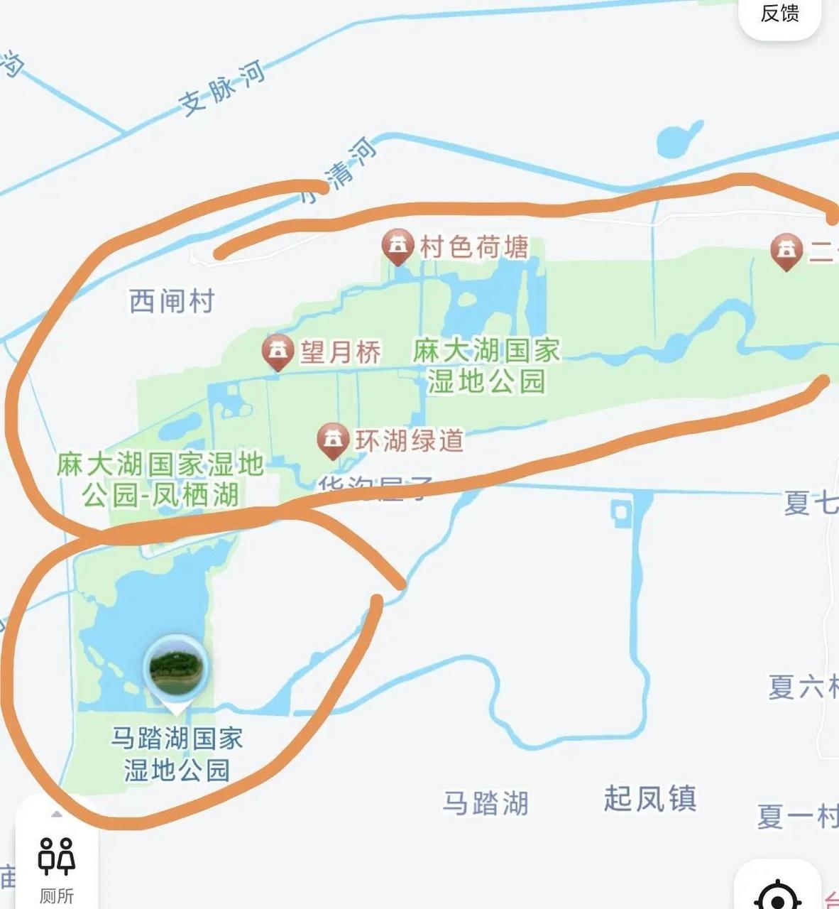 原来"马踏湖"和"麻大湖"都属于同一个湖泊,从地图上看,她们也是连着的