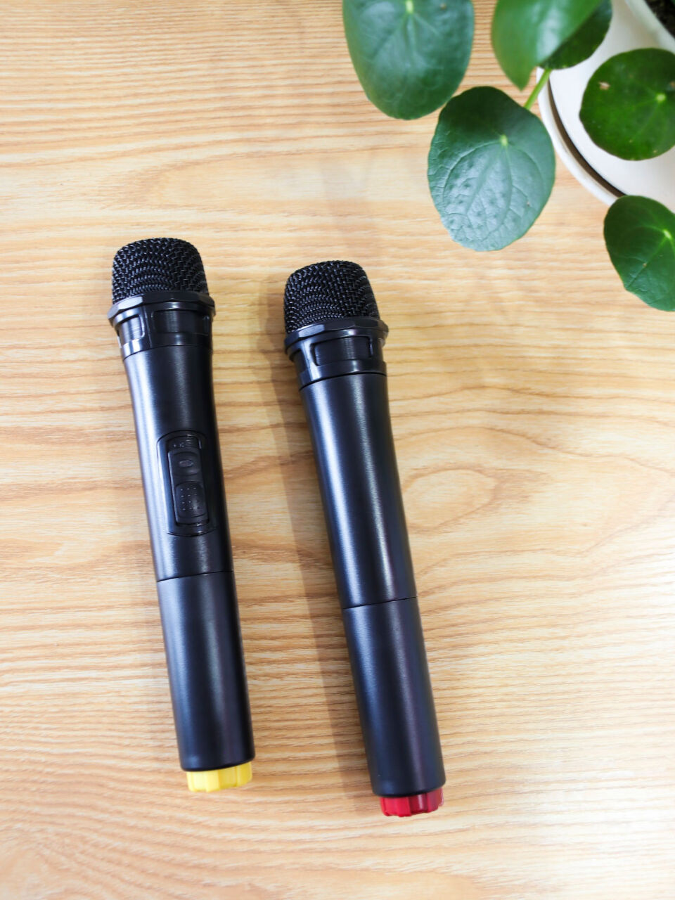 索爱a89wm广场舞音响评测:12英寸低音,伸缩拉杆,双无线话筒