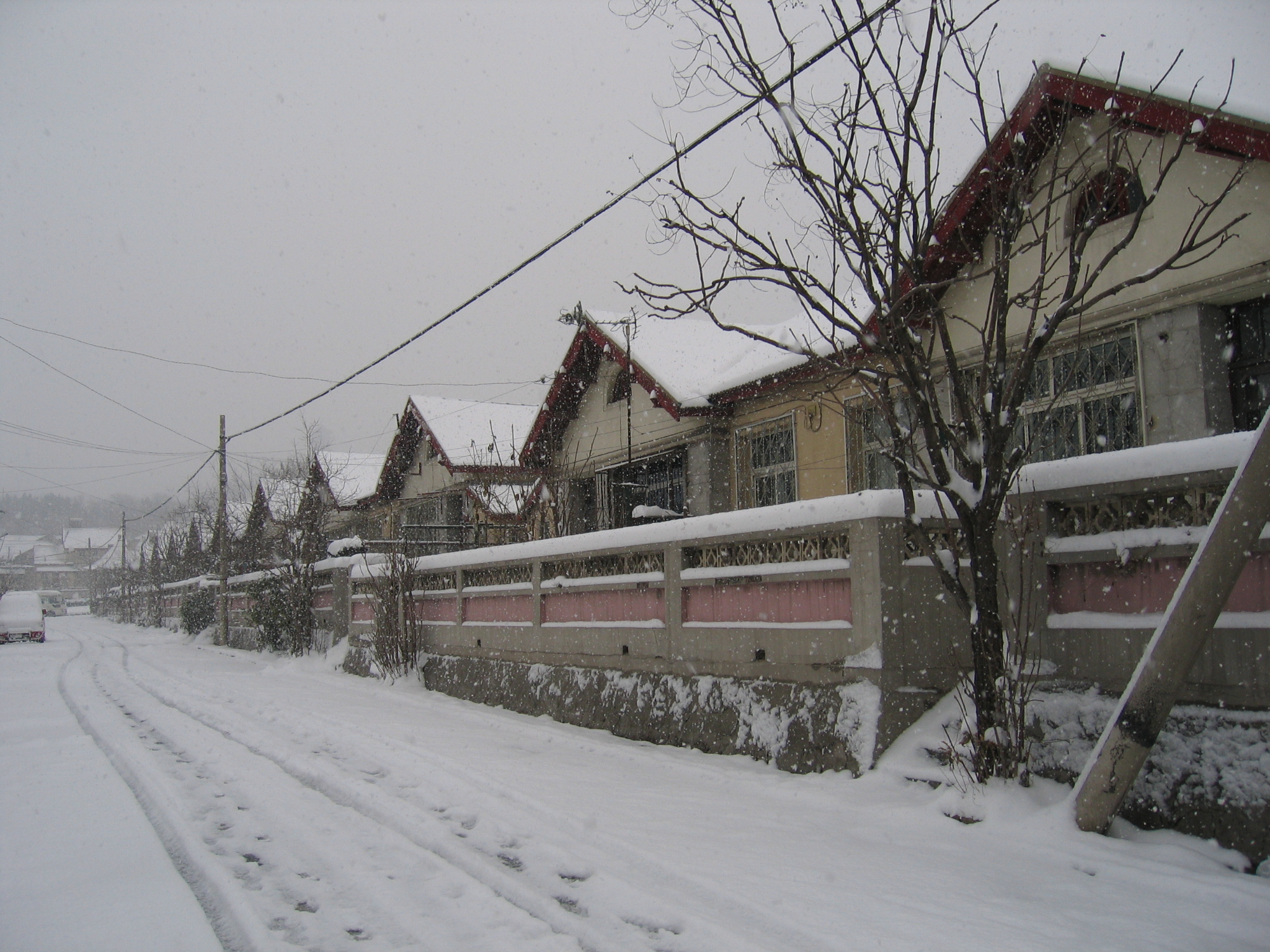老照片2005大连甘井子樱花街(圈里——大化一宿舍)小编c723船船老长