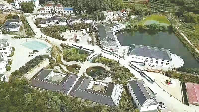 山沟村的蜕变—英山县郑冲村依托市场主体强了集体富了村民